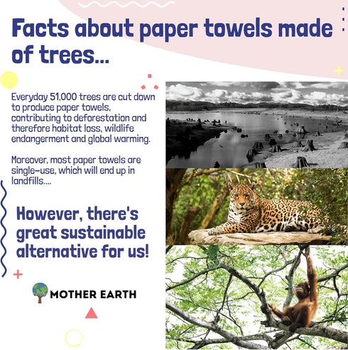 MOTHER EARTH Bamboo Paper Towels | 2-Ply, 3 Rolls, 250 Sheets per Roll | Gentle for Sensitive Skin & Daily Cleaning Tasks