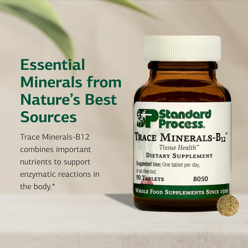 Minerals-B12 90 (90 Standard Process Trace - Thyroid & Cell Functioning Support with Iodine, Zinc & Copper - Cartilage