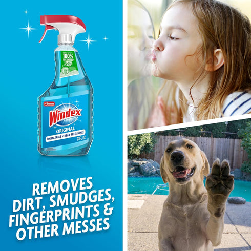 Packaging 23 Oz Windex Glass and Window Cleaner Spray Bottle, Designed to Prevent Leakage and Breaking, Surface