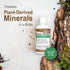 Vital Earth Minerals Humic Minerals – Fulvic Acid Supplement with 70+ Trace Minerals, 32 Oz + 1 Oz Cup