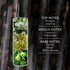 RACHEL ZOE Empowered Body Mist for Women - Floral Sweet Scent with Vanilla and Jasmine - 10 oz