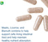 Nutra BioGenesis Gastric Repair Complex, Bismuth, Licorice, Mastic Gum, 60 Capsules