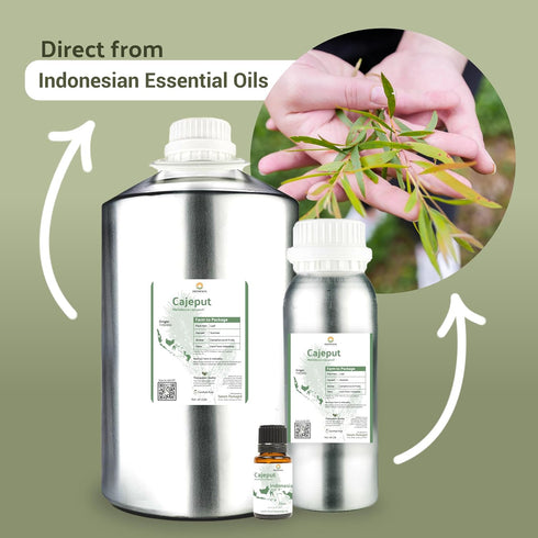 Cajeput Essential Oil, 15ml, Essential Oils for Diffusers, Aromatherapy, 100% Pure Therapeutic Grade