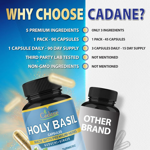 Organic Cadane Holy Basil Supplements - Capsules with Guduchi, Ginger, Turmeric Curcumin, Licorice, 90 Capsules for
