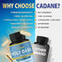 Organic Cadane Holy Basil Supplements - Capsules with Guduchi, Ginger, Turmeric Curcumin, Licorice, 90 Capsules for