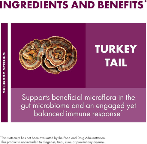 Immune 3.5 oz (66 Host Defense Turkey Tail Mushroom Powder - Digestive Health & Response Support Supplement - Mushroom