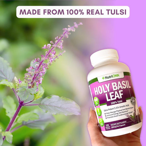 Holy Basil Leaf Capsules, 500mg, 120 Vegan Capsules, Real Tulsi Extract Supplement for Positive Mindset