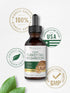 Carlyle Turkey Tail Mushroom Liquid Extract | 2 FL Oz | Vegetarian Tincture | Non-GMO, Gluten Free