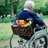 Hechitok Cherry Leaf Walker Bag, Handy Rollator Basket Water Cup Holder, Walker Accessories Storage Bag for Folding