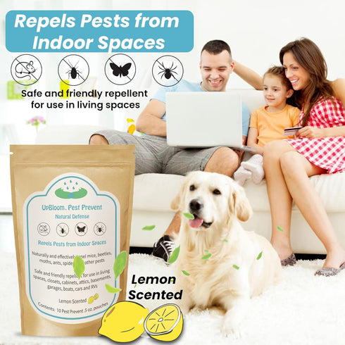 Pest Prevent Natural Defense Repellent: Indoor Spaces for Mice, Beetles, Moths, Ants, Spider, 10 Pouches, USA Made