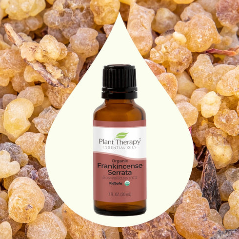 Plant Therapy Organic Frankincense Serrata Essential Oil 100% Pure, 30 mL (1 oz), USDA Certified Organic, Natural
