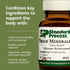 Minerals-B12 90 (90 Standard Process Trace - Thyroid & Cell Functioning Support with Iodine, Zinc & Copper - Cartilage