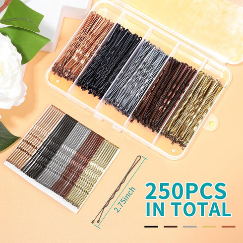 Teenitor 250count Bobby Pins, 2.75inch Large Bobby Pins, Brown Black Blonde Silver for Women Girls, Large Pins for