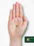 Carlyle Ginkgo Biloba 3000mg - 400 Tablets, Non-GMO, Gluten Free Supplement