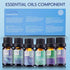 Essential Oils for Laundry, 100% Pure Aromatherapy Oils for Diffusers, 6x10ml Clean, Wool Dryer Balls