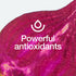 Fresh Nutrition Organic Beet Root Capsules - 2400mg Antioxidant Support, Vegan, Non-GMO, Gluten-Free