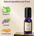Sleep Well Roll On Essential Oil Anti Stress Calming Aromatherapy Stick Blend Lavender Bergamot Frankincense Destress