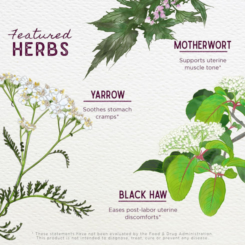 WishGarden Herbs AfterEase - All-Natural Herbal Supplement for After Birth Contractions, 2oz