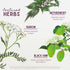 WishGarden Herbs AfterEase - All-Natural Herbal Supplement for After Birth Contractions, 4oz