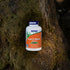 NOW Supplements Lion's Mane 500 mg, Super Mushroom, 60 Veg Capsules