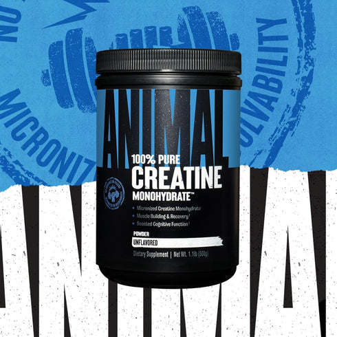 Animal Micronized Creatine Monohydrate Powder - Supports Muscle Growth, Endurance, Strength, Recovery for Men & Women,