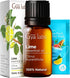 Gya Labs Lime Essential Oil for Skin, 0.34 Fl Oz, 100% Pure Natural Oil for Diffuser and Candles