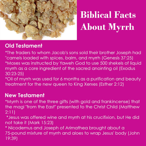 Queen Esther Myrrh Beauty Face Oil, Myrrh-Infused Skincare Essential Oils with Rosehip, Argan, Seabuckthorn,