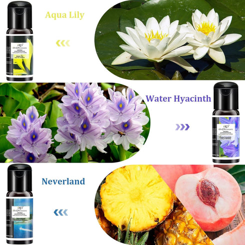 Essential Oils Reborn Aroma Oils Gift Set for Aromatherapy Diffuser, 6 Bottles, 15 ML