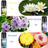 Essential Oils Reborn Aroma Oils Gift Set for Aromatherapy Diffuser, 6 Bottles, 15 ML