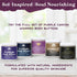 PURPLE CANYON 99% Snail Mucin Body Butter 8oz - Skin Care Moisturizer to Reduce Blemishes, Dark Spots, and Wrinkles
