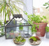 Okllen 6 Pack Mini Fish Bowl - 26 Oz Plastic Ivy Bowls, Unbreakable Bubble Ball Vases for Party Decor, Clear