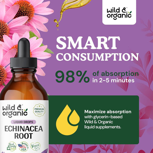 Echinacea Drops - Alcohol-Free Immune Support Supplement with Organic Echinacea Root - 4 oz