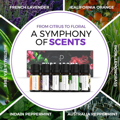 Pure Aroma Essential Oils Set, Top 6 Aromatherapy Oils Gift Set, 10ml (6 Pack)