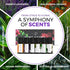 Pure Aroma Essential Oils Set, Top 6 Aromatherapy Oils Gift Set, 10ml (6 Pack)