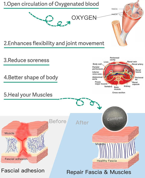 Plantar Fasciitis Relief Massage Ball - Lacrosse Ball, Foot Massage Roller & Myofascial Release Ball for Foot Pain