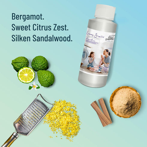 Black Diamond Stoneworks Bergamot Breeze Luxury Scented Laundry Wash, Premium Quality Detergent, Trial Size,