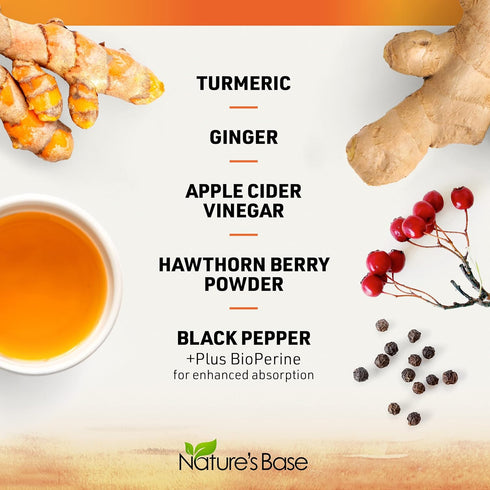 Turmeric and Ginger Supplement - Turmeric Curcumin Pills with Apple Cider Vinegar & BioPerine, 120 Capsules