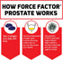 Force Factor Prostate Supplement for Men, Saw Palmetto and Beta Sitosterol for Prostate Health, 60 Count (Pack of 2)