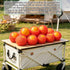 Markeny Packing (50PCS Red-14x7cm) Fruit Protection Mesh Bags Transport Vegetable Fruit Fragile Items Dedicated Fruit