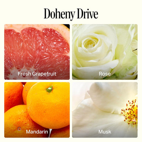 Preston Lane Luxury All-Purpose Cleaner, Doheny Drive Scent | Bio-Based Multi-Surface Spray | Streak-Free Finish, Lifts