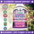 FRESH HEALTHCARE Elderberry Capsules - High Potency Black Elderberry with Zinc and Vitamin C - Premium Elderberry Vitamins for Adults - 3 in 1 Immune Support Supplement