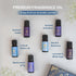Set 6 Carnatia Starry Spell Fragrance Oil Magical & Calming Aromatherapy Blends for Stress Relief, Relaxation