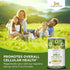 Organic Veda Amla Powder - 7oz - 100% Pure Amla Fruit Powder for Immune, Digestive & Skin Health