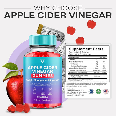 Gummies Gummies (2 Pack 120 Gummies) Apple Cider Vinegar Supplement Daily Digestive Health & Gut Wellness Support
