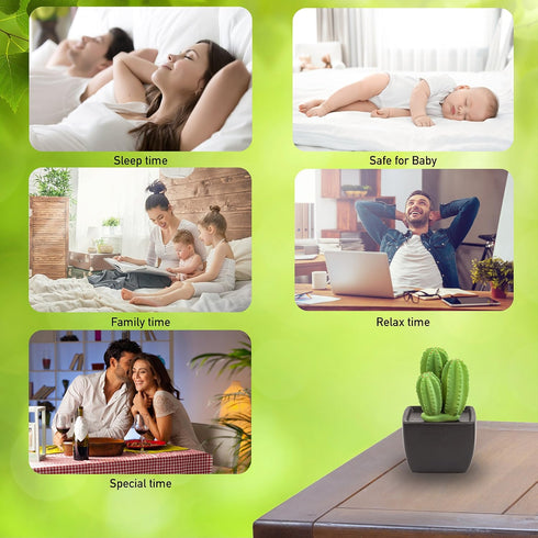 Tri Cactus, Non-Electric Ceramic Diffusers for Essential Oils and Aromatherapy Fragrance, White Ceramic Diffusers