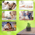 Tri Cactus, Non-Electric Ceramic Diffusers for Essential Oils and Aromatherapy Fragrance, White Ceramic Diffusers