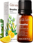 Gya Labs Breathe Essential Oil Blends, 100% Pure Natural Essential Oils from Eucalyptus, Peppermint and More for