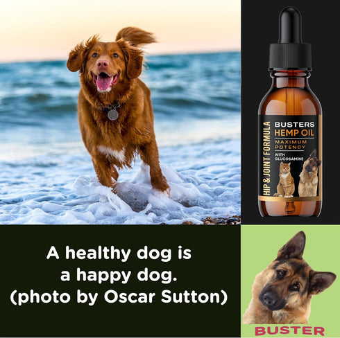 Busters Hip and Joint Hemp Oil Formula with Glucosamine for Pain Relief in Dogs and Pets, Arthritis Support