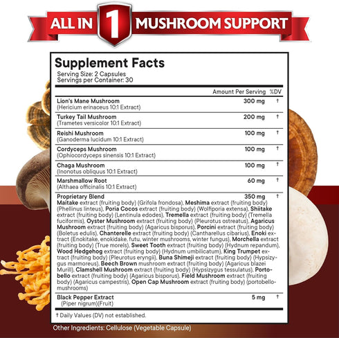 NEW AGE Lions Mane 3000mg 20in1 Mushroom Supplement with Turkey Tail 2000mg, Reishi 1000mg, Cordyceps, Chaga 1000mg &