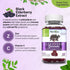 Herbion Naturals Elderberry Gummies with Vitamin C & Zinc, 60 Count for Immune Support